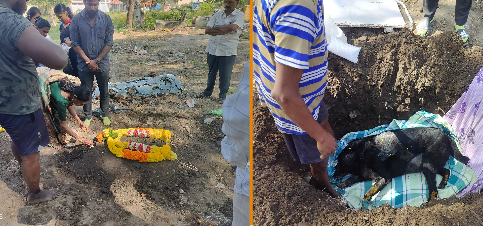 dog-funeral-services-Anna-nagar